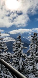 Zllertal 2019  11 von 23 