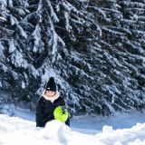 Zllertal 2019  117 von 187 