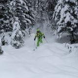 Zllertal 2019  22 von 187 