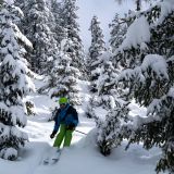 Zllertal 2019  75 von 187 